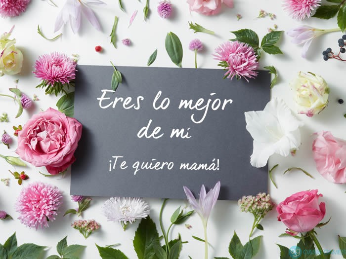 dia-madre-frases